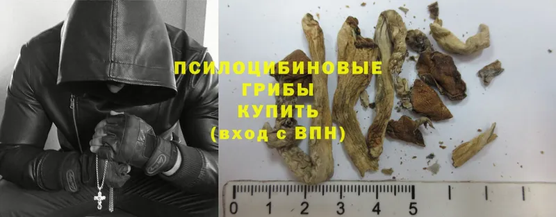 что такое наркотик  блэк спрут сайт  Псилоцибиновые грибы Psilocybine cubensis  Агидель 